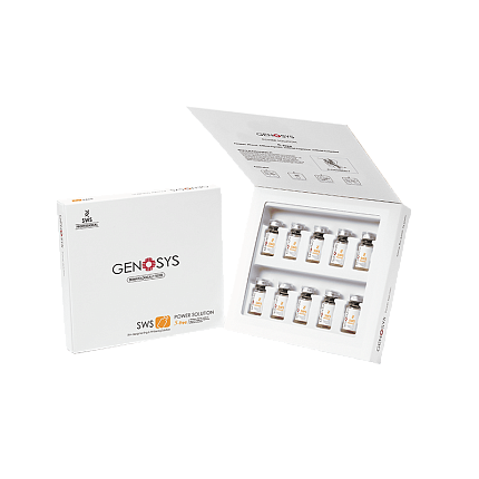 SWS POWER SOLUTION